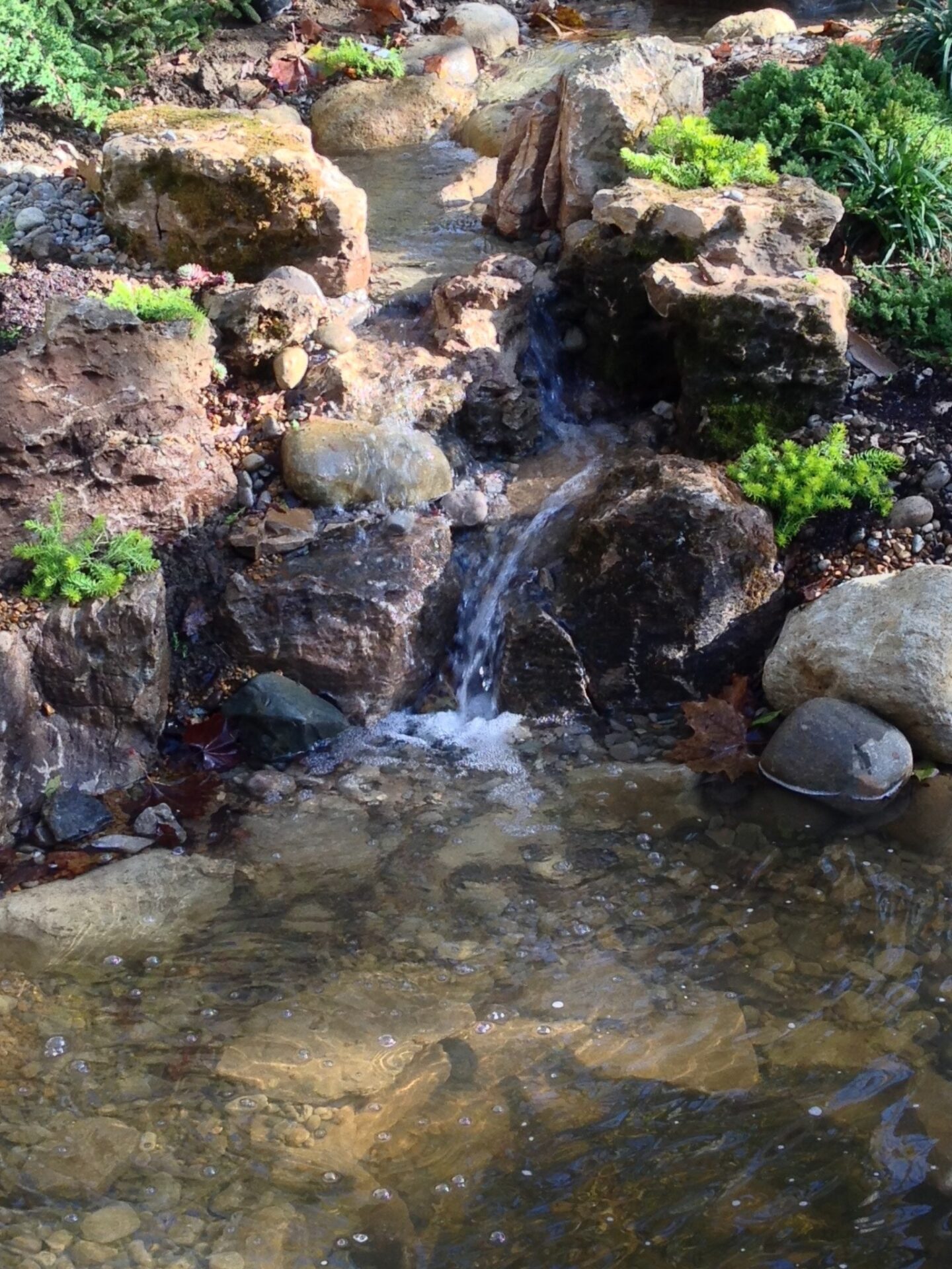 Pond 1536 x 2048 Backyard Waterfalls